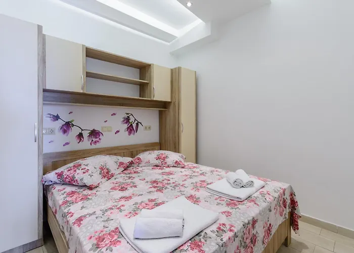 Hope דוגי ראט